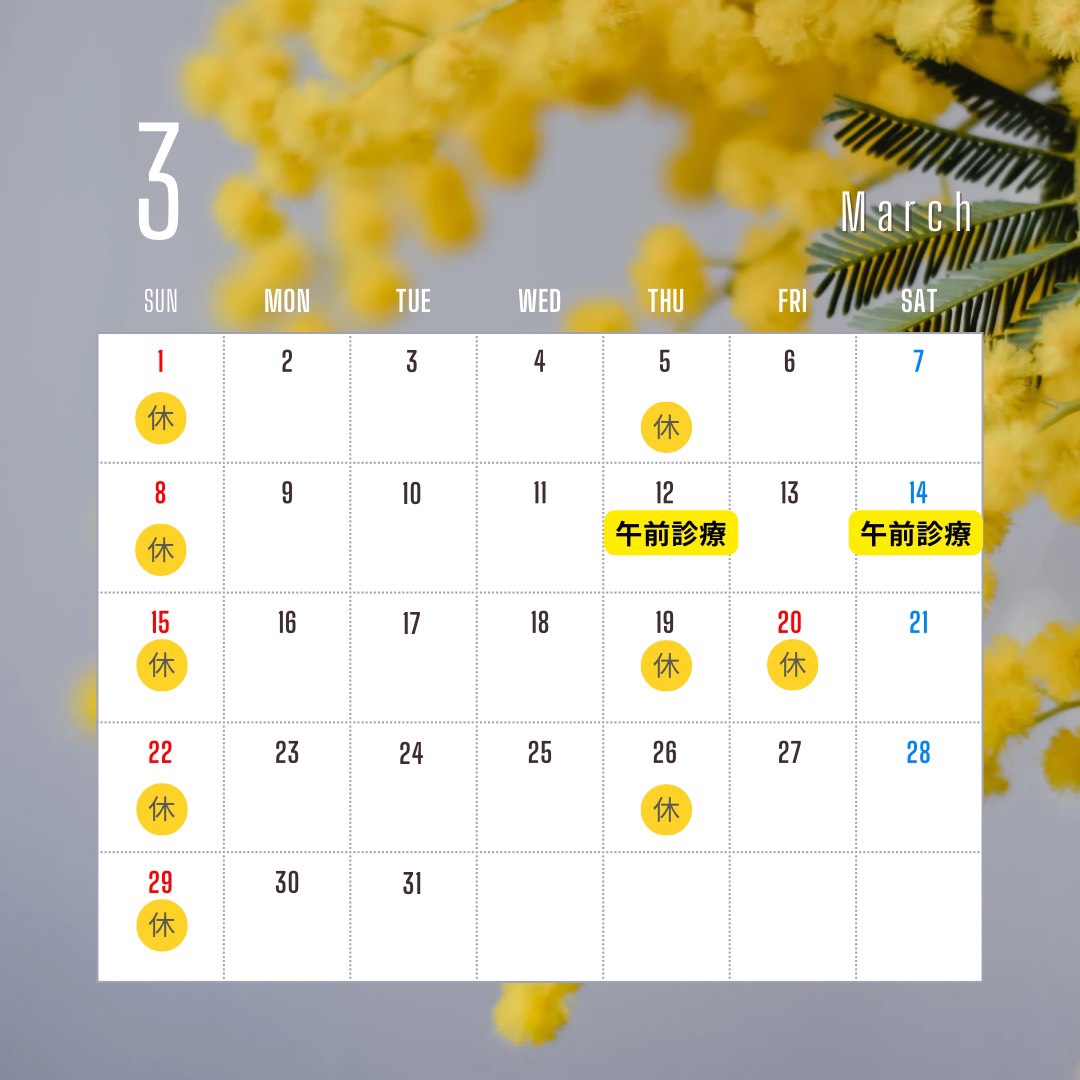 中田町歯科医院　
2026年　3月診療日