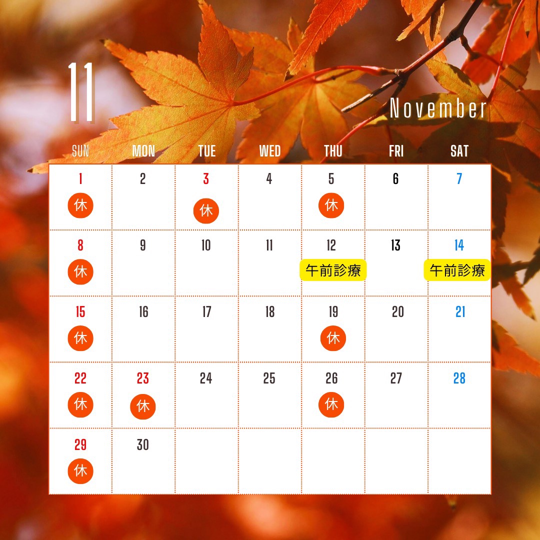 中田町歯科医院 11月の診療日